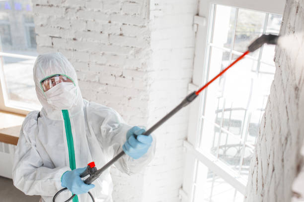 Professional Mold Removal in Bethany, WV