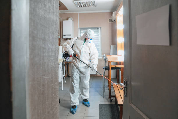Best Crawl Space Mold Remediation  in Bethany, WV